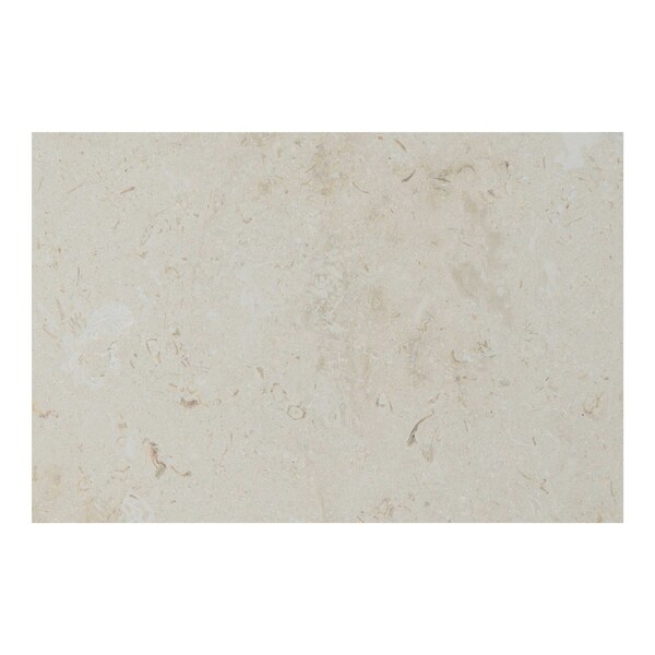 Msi Mayra White 16"X 24" Honed- Eased Edge Limestone Pool Coping ZOR-LSC-0004 - main